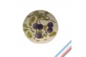 Collection BARBOTINES  - Assiette dessert prune - Diam  22 cm -  Lot de 4