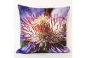 Coussin 40x40 cm collection fleurs - Clématite violette