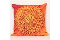 Coussin 40x40 cm collection fleurs - Coeur soucis orange