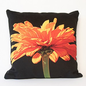Coussin 40x40 cm collection fleurs - Zinnia orange fond noir