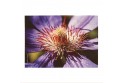 Set de table velours collection fleurs - Clématite violette