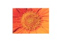 Set de table velours collection fleurs - Coeur souci orange
