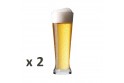 Coffret de 6 verres à bières pour dégustation - 3 différentes formes et contenances