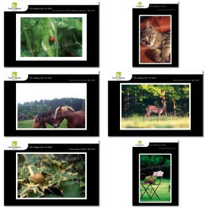 Lot de 6 cartes postales - Photos Frédéric Engel - ANIMAUX 1