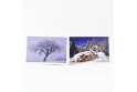 Lot de 6 cartes postales - Photos Frédéric Engel - HIVER 1