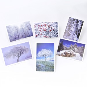 Lot de 6 cartes postales - Photos Frédéric Engel - HIVER 1