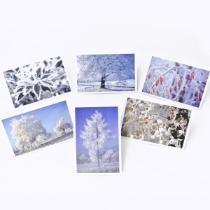 Lot de 6 cartes postales - Photos Frédéric Engel - HIVER 2