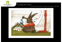 Lot de 6 cartes postales - Photos Frédéric Engel - VOEUX