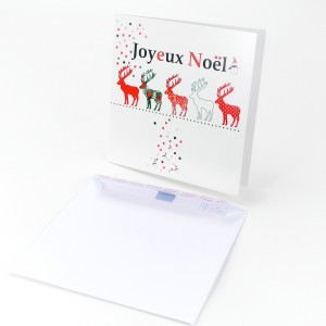 Carte double - Dessin Marion Muller - NOËL