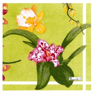 Serviettes en papier "Orchidées" fond vert