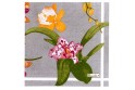 Serviettes en papier "Orchidées" fond gris