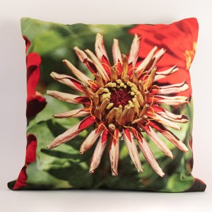 Coussin 40x40 cm collection fleurs - Zinnia rouge fond vert