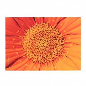 Set de table velours collection fleurs - Coeur souci orange